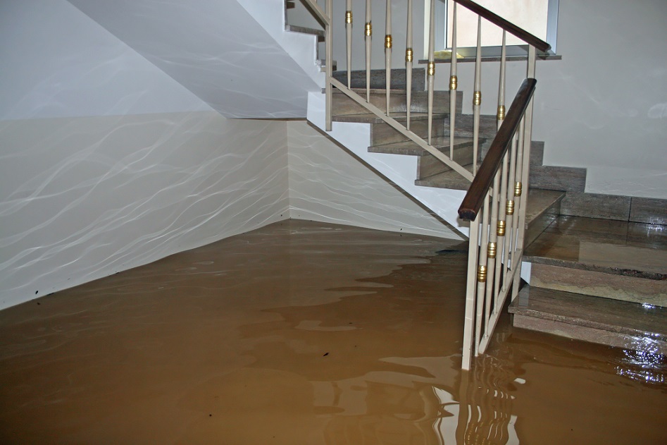 Flood Sensors: Stop A Leak From Becoming A Flood